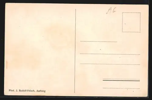 AK Aarburg, Totalansicht