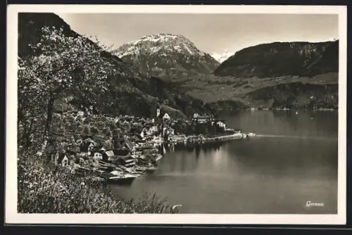 AK Gersau, Totalansicht mit Gewässer u. Bergen