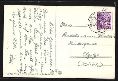 AK Gersau, Totalansicht mit Gewässer u. Bergen