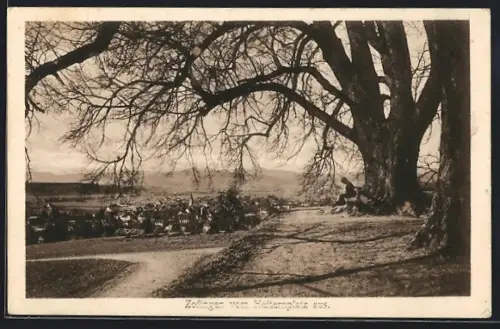 AK Zofingen, Teilansicht vom Heiternplatz aus