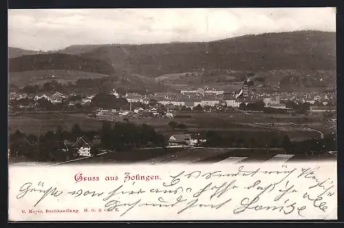 AK Zofingen, Gesamtansicht mit Umgebung