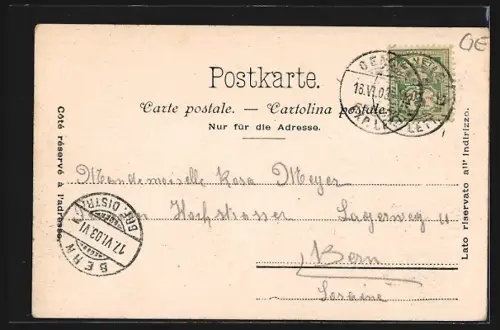 AK Genève, Ile Rousseau, Panorama