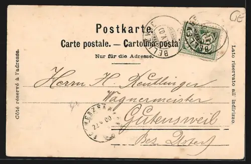 AK Genève, Genève et le Mont-Blanc, Panorama