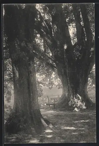 AK Zofingen, Ausblick vom Heiteren Platz