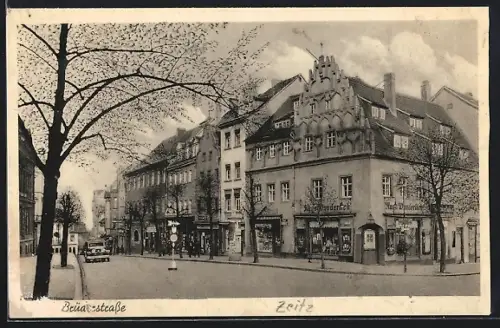 AK Zeitz, Brüderstrasse mit Geschäftshäusern