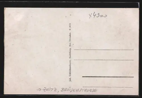 AK Zeitz, Brüderstrasse mit Geschäftshäusern