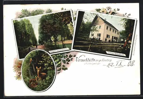 AK Grosser Kornberg /Fichtelgebirge, Forsthaus Vorsuchhütte, Waldpartie, Reh mit Kitzen