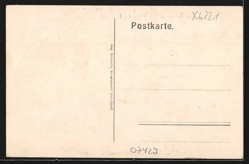 AK Rohrbach /Sorbitztal, Ortsansicht, Gasthaus und Logierhaus zum Lindenhof