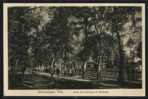 AK Schleusingen, Thür., Partie vom Kohlberg mit Waldhaus