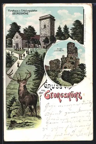 Lithographie Georgshöhe, Forsthaus und Erholungsstation, Ruine Lauenburg, Hirsch
