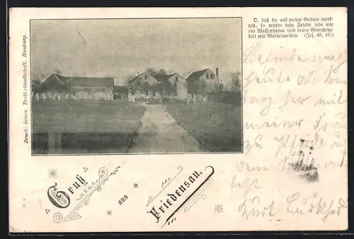 AK Friedensau, Dorfansicht mit mehreren Gebäuden und Weg