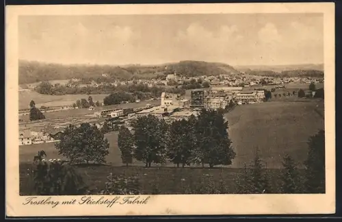 AK Trostberg, Totalansicht mit Stickstoffabrik