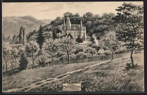 AK Mohrungen /Harz, Blick aufs Schloss mit Umgebung