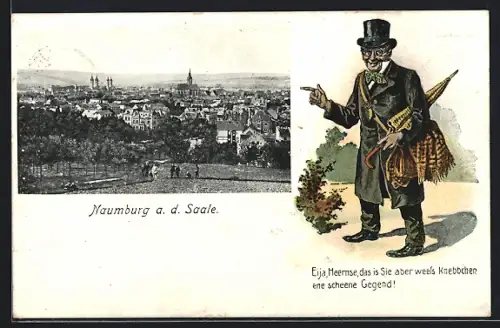 AK Naumburg a. d. Saale, Totalansicht und Stadttyp