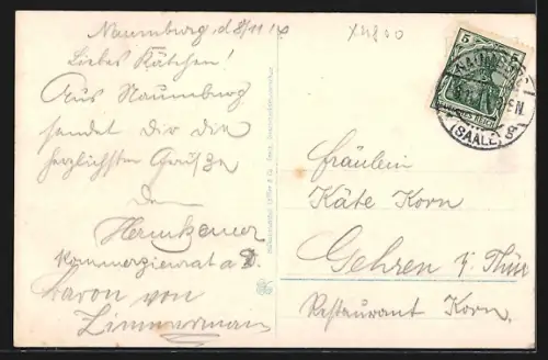 AK Naumburg a. d. Saale, Totalansicht und Stadttyp