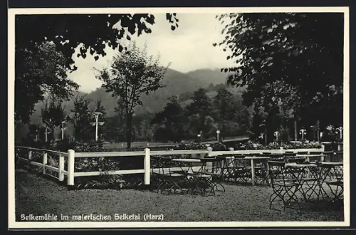 AK Selketal / Harz, Blick von der Selkemühle