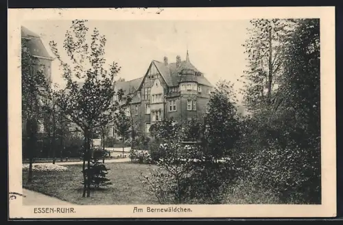 AK Essen, Am Bernewäldchen