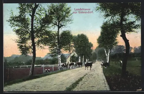 AK Vahrendorf, Kühe auf der Landstrasse