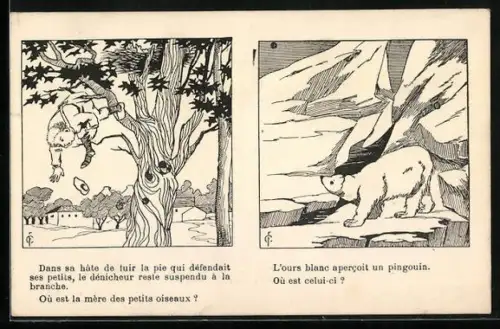 AK Optische Täuschengen, versteckter Vogel und versteckter Pinguin