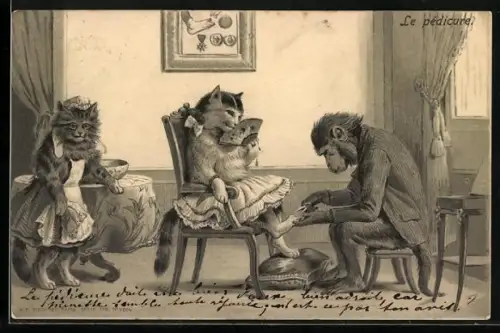 AK Pediküre für die Katz mit Affe