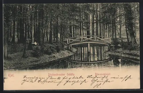 AK Kiel, Düsternbooker Gehölz mit Dianenspiegel