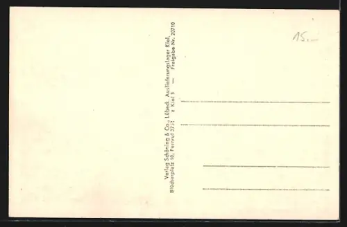 AK Kiel, Rathaus u. Stadttheater aus der Vogelschau