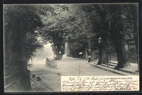 AK Kiel, Blick durch die Düsternbrooker Allee
