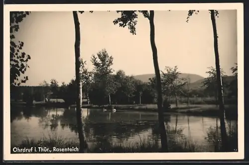 AK Ohrdruf, Blick auf den Rasenteich