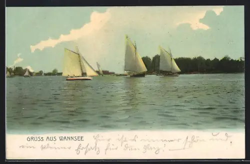 AK Berlin-Wannsee, Segelboote auf der Havel