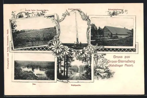 AK Gross-Sterneberg /Kehdinger Moor, Partie beim Beamtenhaus, Kolonistenhaus, Kuhlmaschine, Waldpartie