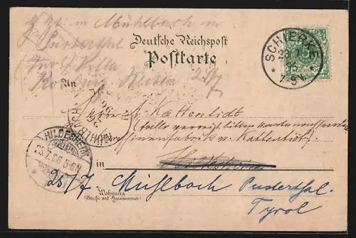 Lithographie Altenau / Harz, Hotel Rammelsberg, Villa Rammelsberg