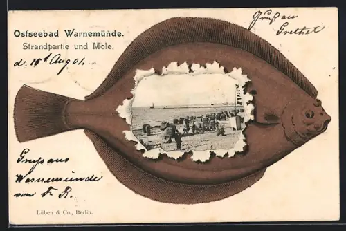 Grusskarten-AK Warnemünde, Strandpartie und Mole im Flunder-Passepartout