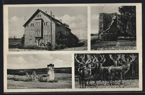 AK Hinzerath /Bernkastel, Gasthaus Schaaf, Stumpfer Turm, Ruine Baldenau, Hochwild
