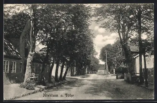 AK Nieblum a. Föhr, Blick in die Dorfstrasse