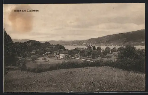 AK Risch am Zugersee, Totalansicht