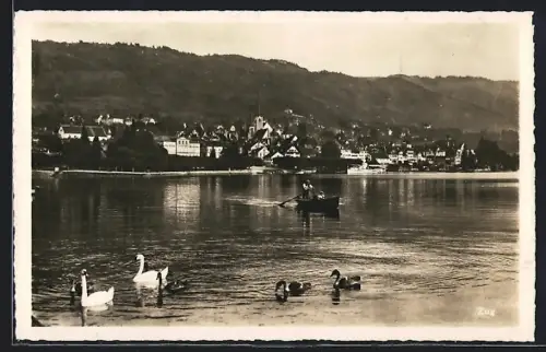 AK Zug, Ortsansicht vom See aus, Schäne