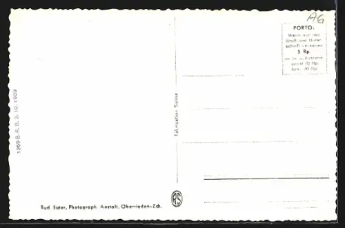 AK Bünzen /Aarg., Ortsansicht mit Baum im Vordergrund