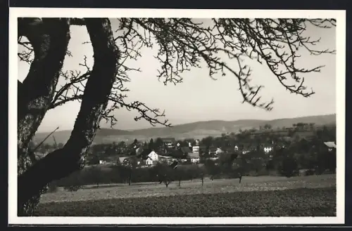 AK Dürrenäsch, Blick auf einen Teil der Ortschaft
