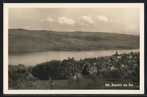 AK Beinwil am See, Ortsansicht mit Wasser