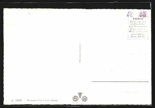 AK Waldenburg, Gesamtansicht mit Waldhintergrund