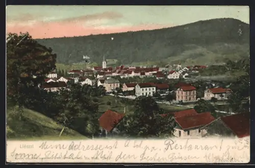 AK Liestal, Gesamtansicht mit Waldhintergrund