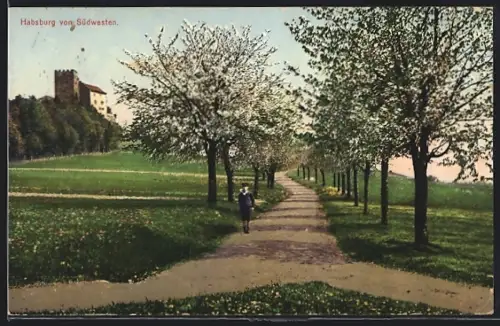 AK Habsburg, Burg von Südwesten