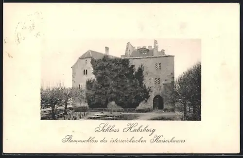 AK Habsburg, Blick auf das Schloss
