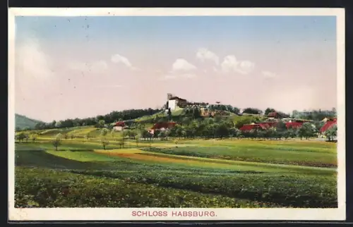 AK Habsburg, Schloss mit Umgebung