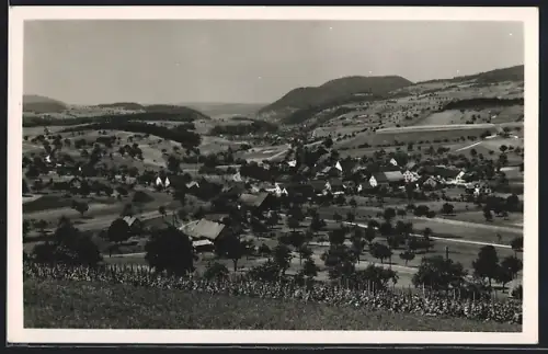 AK Effingen /Aarg., Gesamtansicht mit Umgebung
