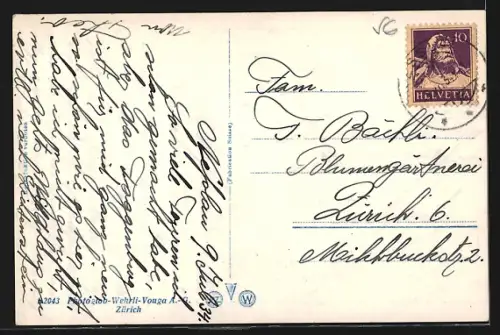 AK Nesslau, Ortspanorama mit Speermürli