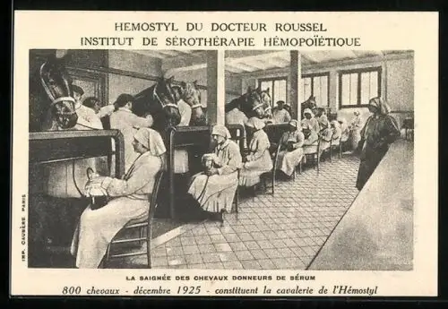 AK Reklame für Hemostyl du Docteur Roussel, Institut de Sérothérapie Hemopoietique, Saignée des Chevaux