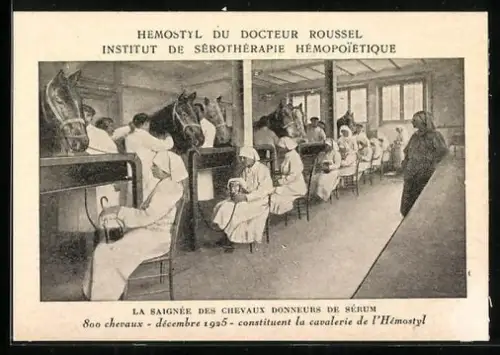 AK Hemostyl du Docteur Roussel, Reklame, La Saignée des Chevaux donneurs de Sérum