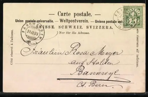 Lithographie Hallwil, Schloss Hallwil, Passepartout