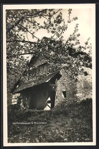 AK Montreux, Le Printemps, Panorama